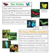 Butterflies Scholastic Interactive Pocket Charts : The Hands-On Way to Build Reading Skills cover