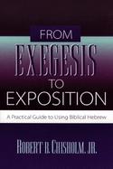 From Exegesis to Exposition A Practical Guide to Using Biblical Hebrew cover