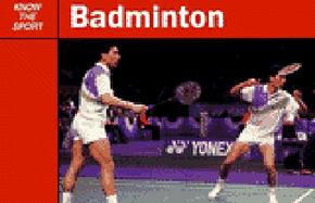 Badminton cover