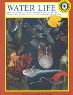 Water Life cover