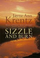 Sizzle and Burn cover