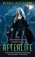 Afterlife : The Resurrection Chronicles cover