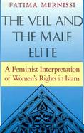 The Veil and the Male Elite A Feminist Interpretation of Women's Rights in Islam cover