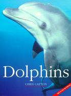 Dolphins cover