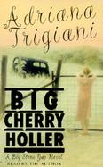 Big Cherry Holler Big Stone Gap Novel cover