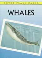 Whales Trading Cards cover