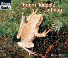 From Tadpole to Frog cover