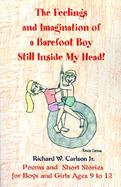 The Feelings and Imagination of a Barefoot Boy Still Inside My Head Poems and Short Stories for Boys and Girls Ages 9 to 12 cover