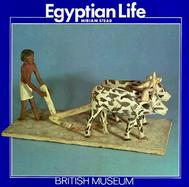Egyptian Life cover