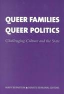 Queer Families, Queer Politics Challenging Culture and the State cover