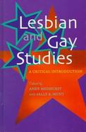 Lesbian and Gay Studies: A Critical Introduction cover