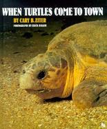 When Turtles Come to Town cover