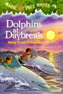 Dolphins at Daybreak cover