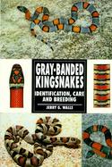 Gray-Banded Kingsnakes Identification, Care and Breeding cover