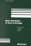 New Horizons in Pro-P Groups cover