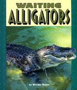 Waiting Alligators cover