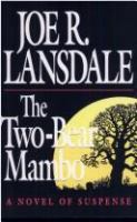 The Two-Bear Mambo A Novel of Suspense cover