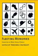 Fleeting Memories Cognition of Brief Visual Stimuli cover
