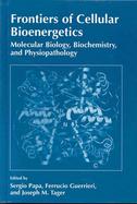 Frontiers of Cellular Bioenergetics Molecular Biology, Biochemistry, and Physiopathology cover