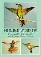 Hummingbirds cover
