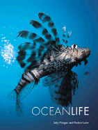 Ocean Life cover
