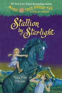 Stallion by Starlight cover