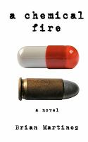 A Chemical Fire : A Novel cover