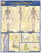 Anatomy Laminated Reference Guide cover