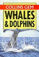 Whales & Dolphins cover