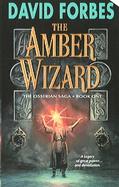 The Amber Wizard cover