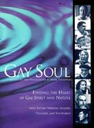 Gay Soul Finding the Heart of Gay Spirit and Nature With Sixteen Writers, Healers, Teachers and Visionaries cover