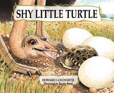 Shy Little Turtle cover