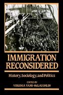 Immigration Reconsidered History, Sociology, and Politics cover