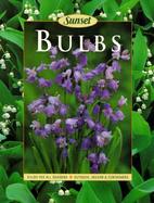 Bulbs cover