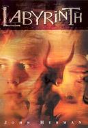 Labyrinth cover