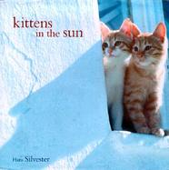 Kittens in the Sun cover