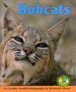 Bobcats cover