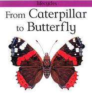 From Caterpillar to Butterfly cover