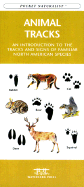 Animal Tracks An Introduction to the Tracks and Signs of Familiar North American Species cover
