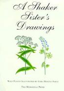 A Shaker Sister's Drawings Wild Plants Illustrated by Cora Helena Sarle cover