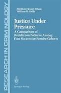 Justice Under Pressure: A Comparison of Recidivism Patterns Among Four Successive Parolee Cohorts cover