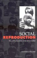 Social Reproduction The Political Economy of the Labour Market cover