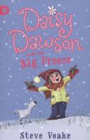 Daisy Dawson and the Big Freeze (Racing Reads) cover