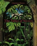 The Valley Of Secrets cover