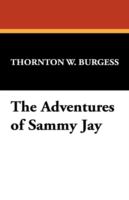 The Adventures of Sammy Jay cover