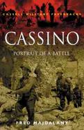 Cassino Portrait of a Battle cover