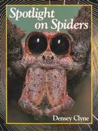 Spotlight on Spiders cover