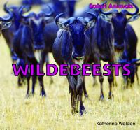 Wildebeests cover