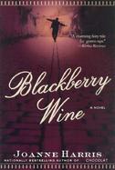 Blackberry Wine A Novel cover