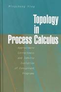 Topology in Process Calculus Approximate Correctness and Infinite Evolution of Concurrent Programs cover